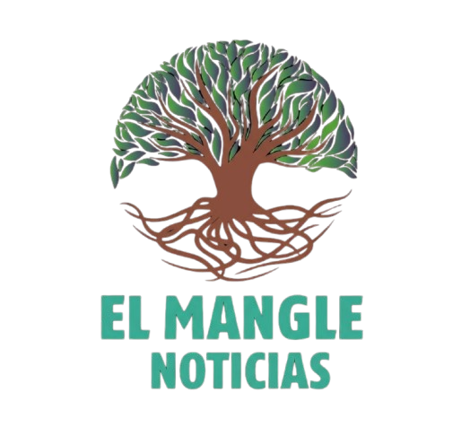 El Mangle Noticias BCS