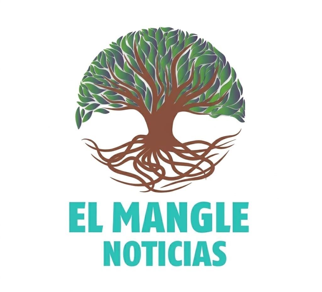 El Mangle Noticias BCS